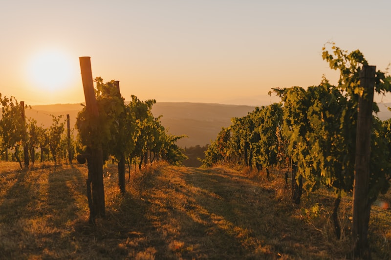 Hudson Valley vineyards and wineries